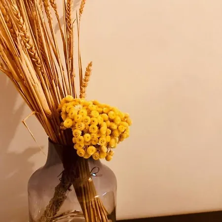 Apartamento Charme De L'imprevu Nimes